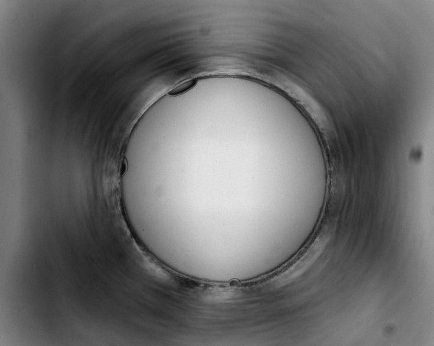 X0000103421385200810241024
