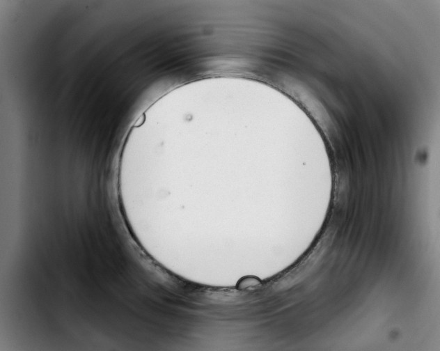 X0000103421386200810241024