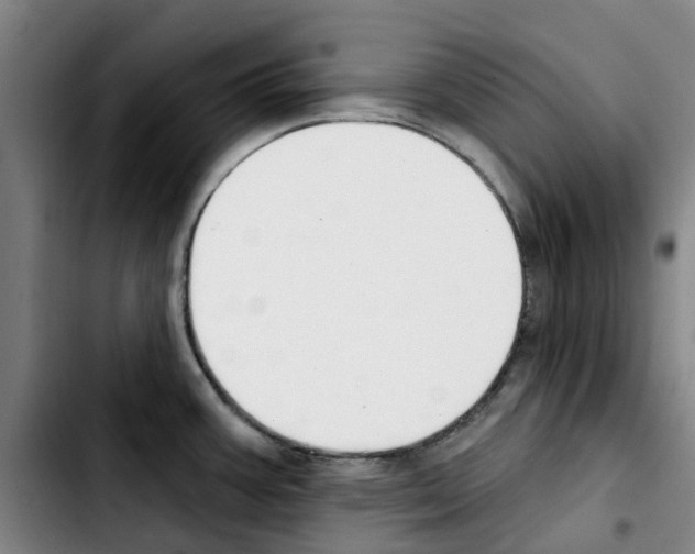 X0000103421387200810241024