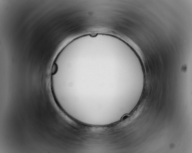 X0000103421389200810241024
