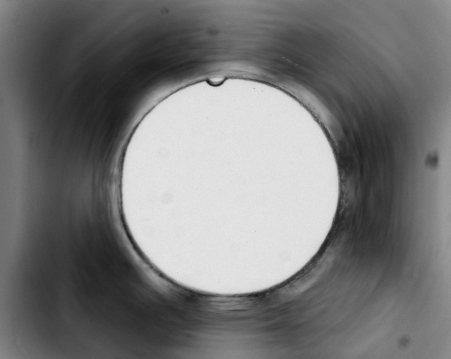 X0000103421391200810241024