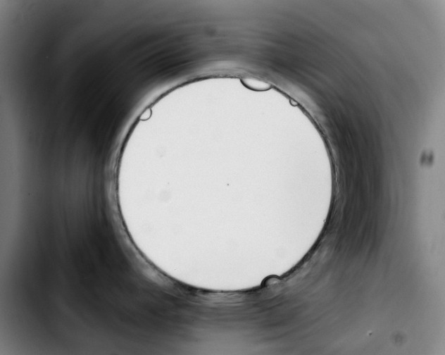 X0000103421392200810241024