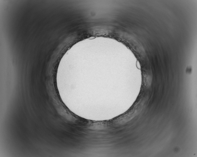 X0000103421393200810241023