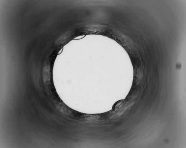 X0000103421394200810241023