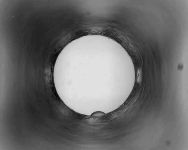 X0000103421395200810241023
