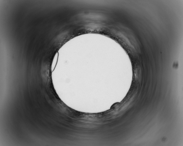 X0000103421396200810241023