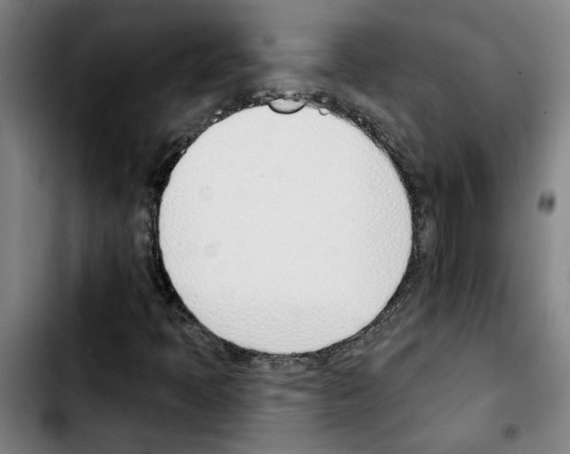 X0000103421397200810241023
