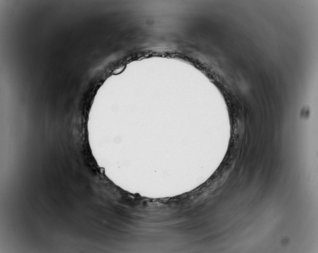 X0000103421398200810241023