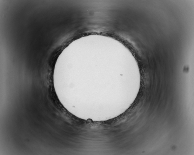 X0000103421399200810241023