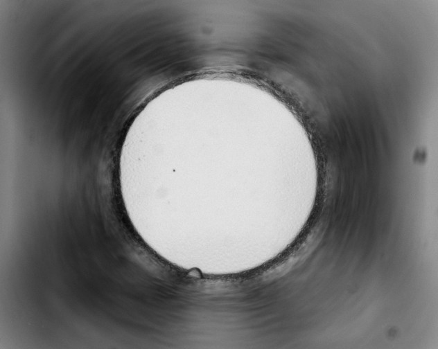 X0000103421401200810241023