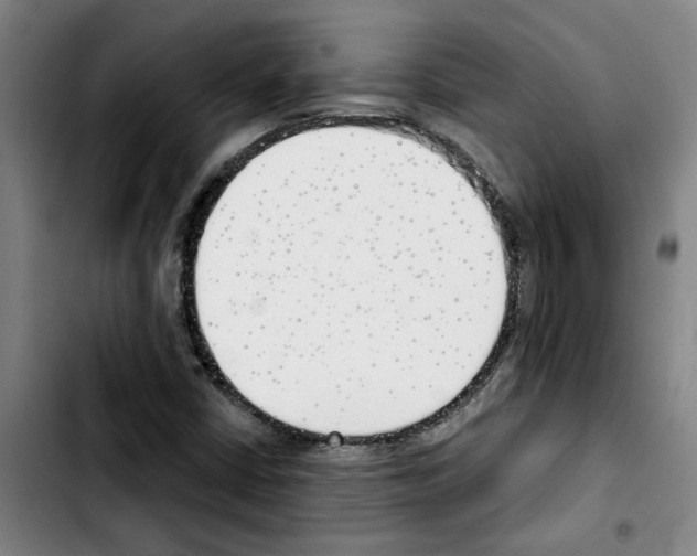 X0000103421402200810241023