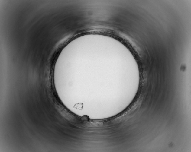 X0000103421403200810241023
