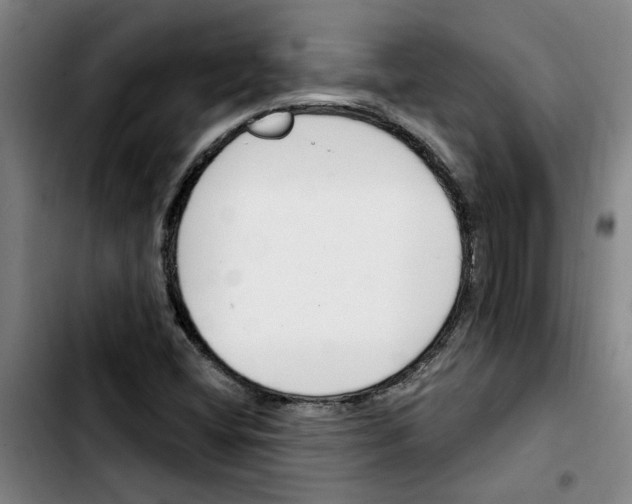 X0000103421404200810241023