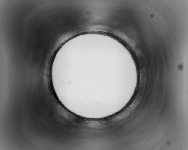 X0000103421405200810241023