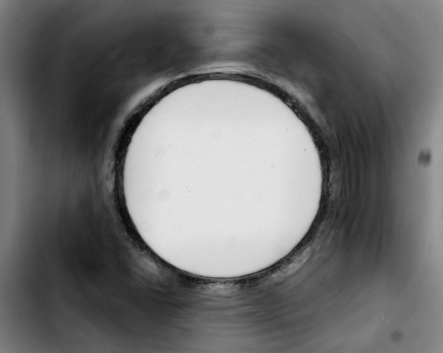 X0000103421406200810241023