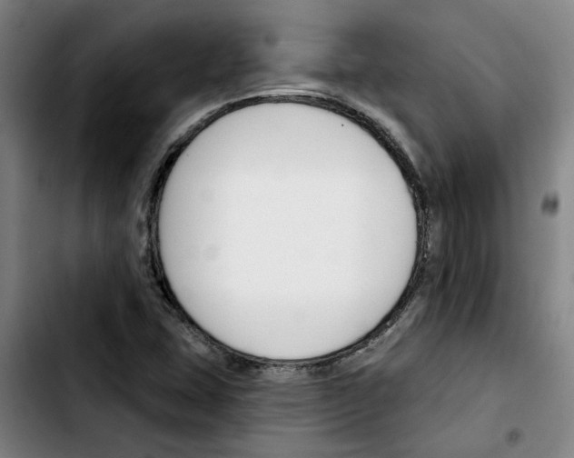 X0000103421407200810241023