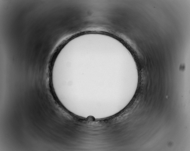 X0000103421408200810241023