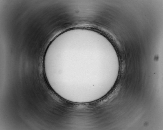 X0000103421409200810241023