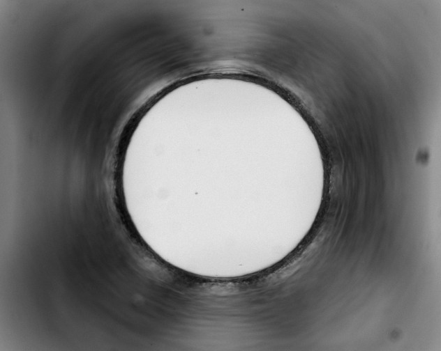 X0000103421410200810241023