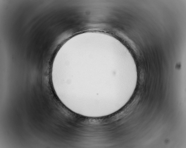 X0000103421411200810241023