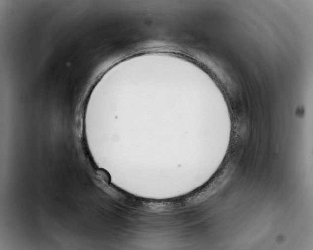 X0000103421413200810241023