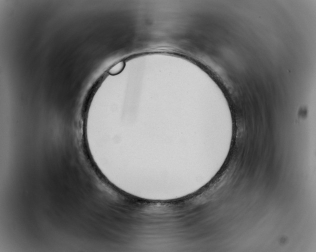 X0000103421414200810241023