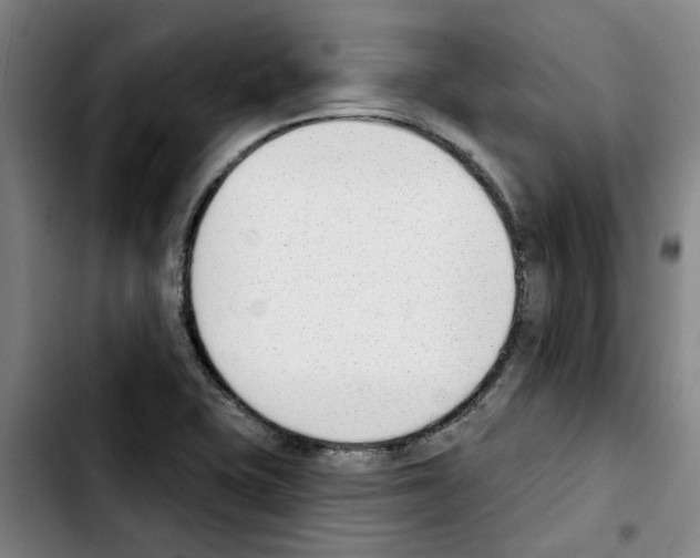 X0000103421415200810241023