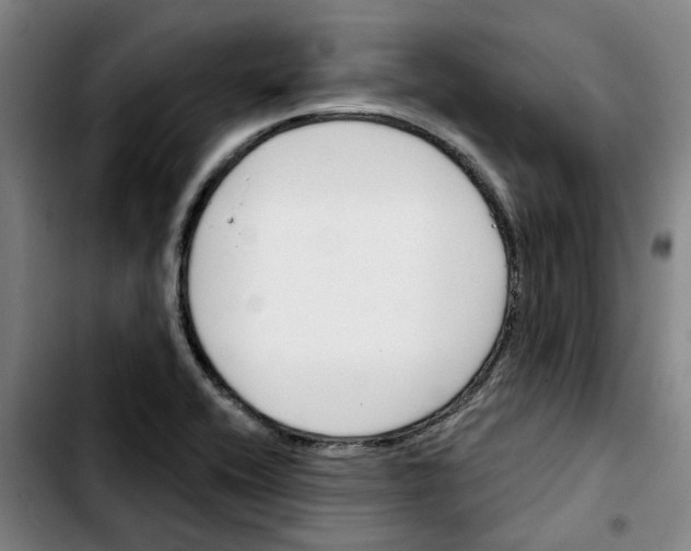 X0000103421416200810241023