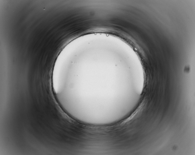 X0000103421417200810241023