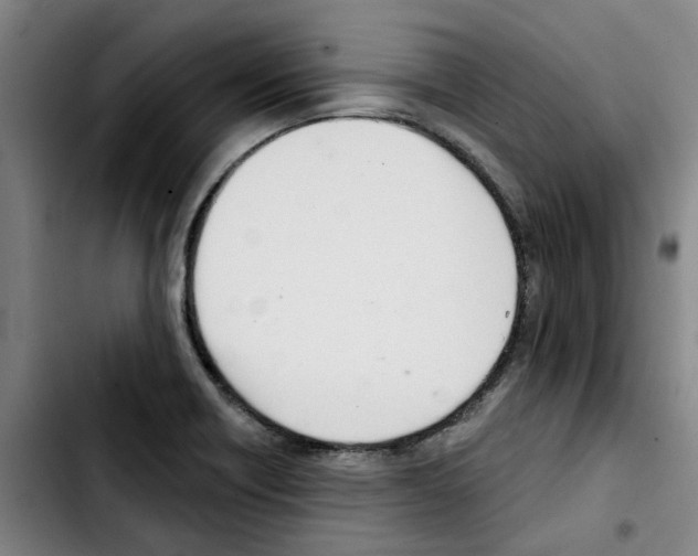 X0000103421418200810241023