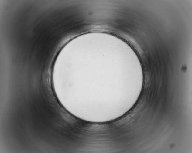 X0000103421419200810241023