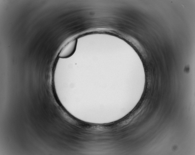X0000103421420200810241023