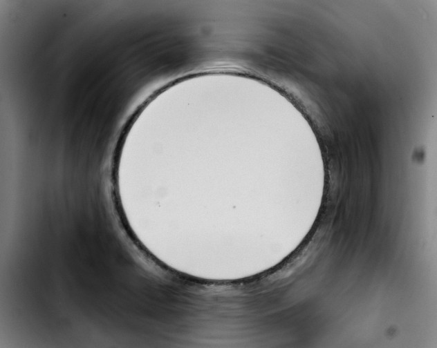 X0000103421422200810241023