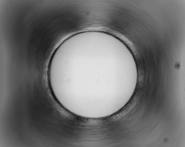 X0000103421423200810241023