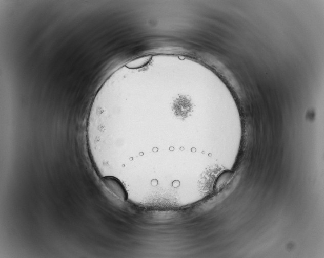 X0000103421425200810241023