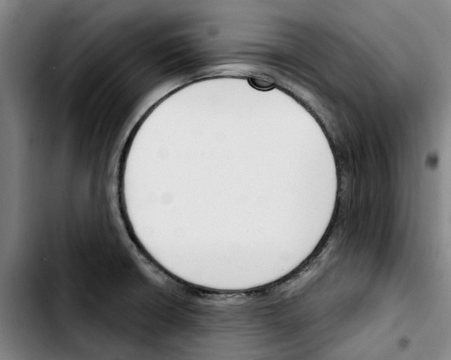 X0000103421426200810241023