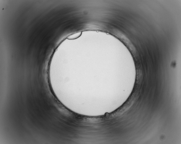 X0000103421427200810241023