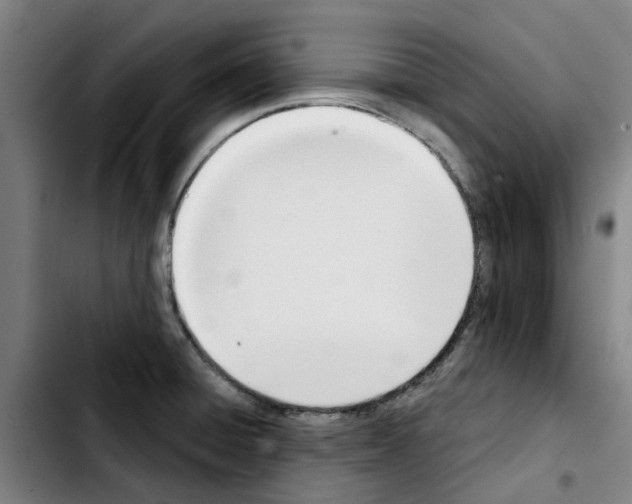 X0000103421428200810241023