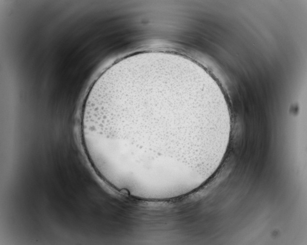 X0000103421429200810241023