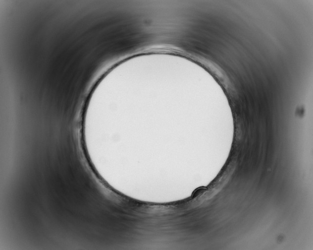 X0000103421430200810241023