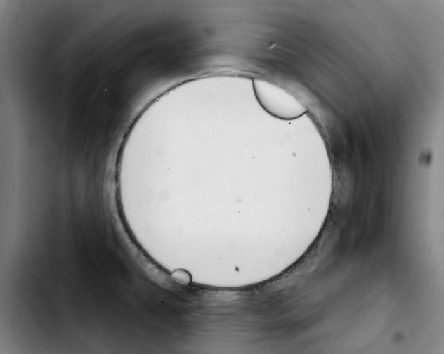 X0000103421431200810241023