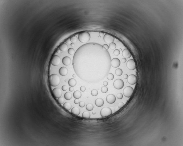 X0000103421432200810241024