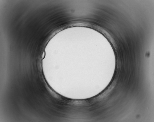 X0000103421433200810241024