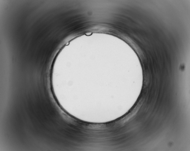 X0000103421434200810241024