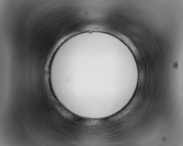 X0000103421435200810241024