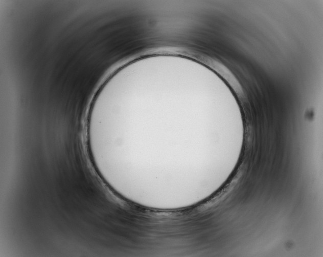 X0000103421436200810241024