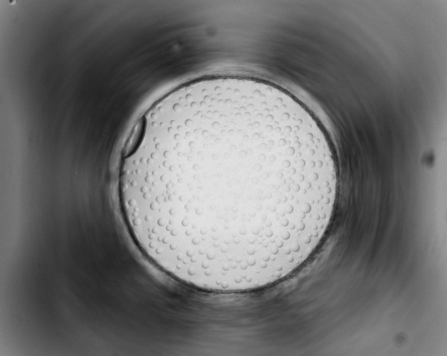 X0000103421437200810241024
