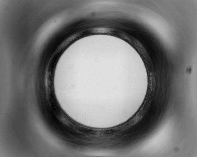 X0000103421438200810241024