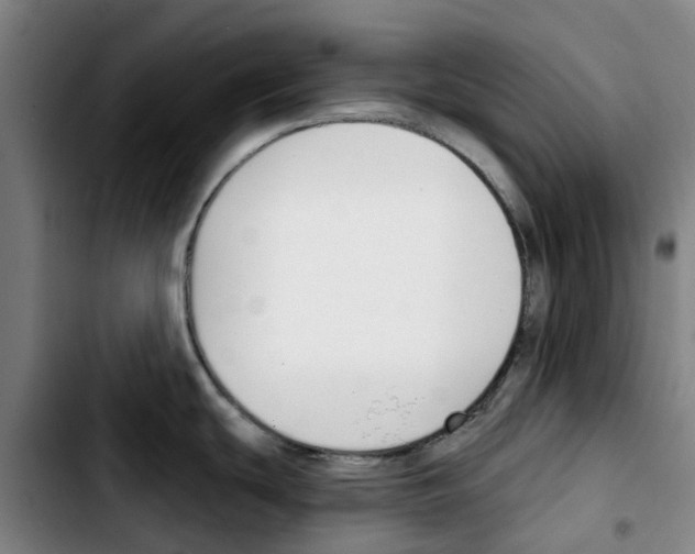 X0000103421439200810241024