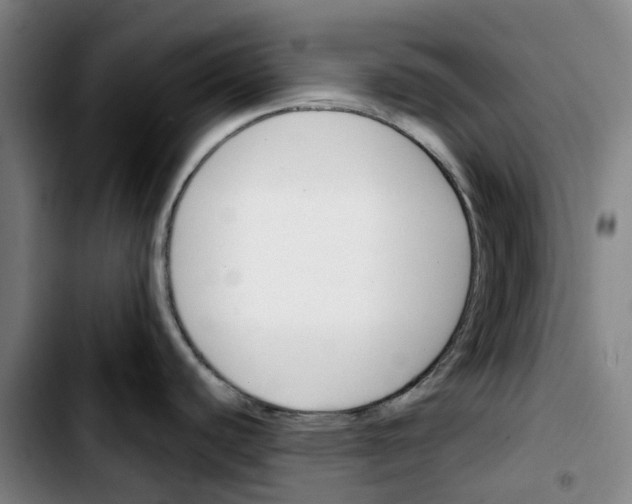 X0000103421440200810241024